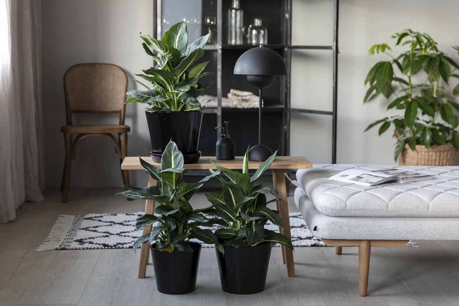 Grønne planter Grønne planter