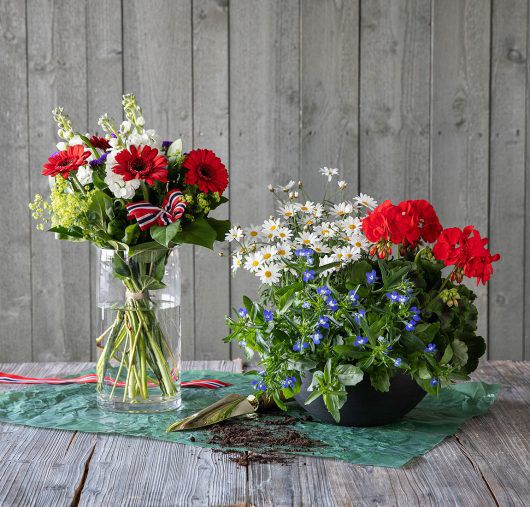blomster til utekrukkene og til festbordet blomster til utekrukkene og til festbordet