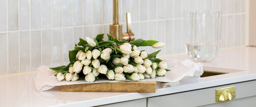 Slik steller du tulipaner