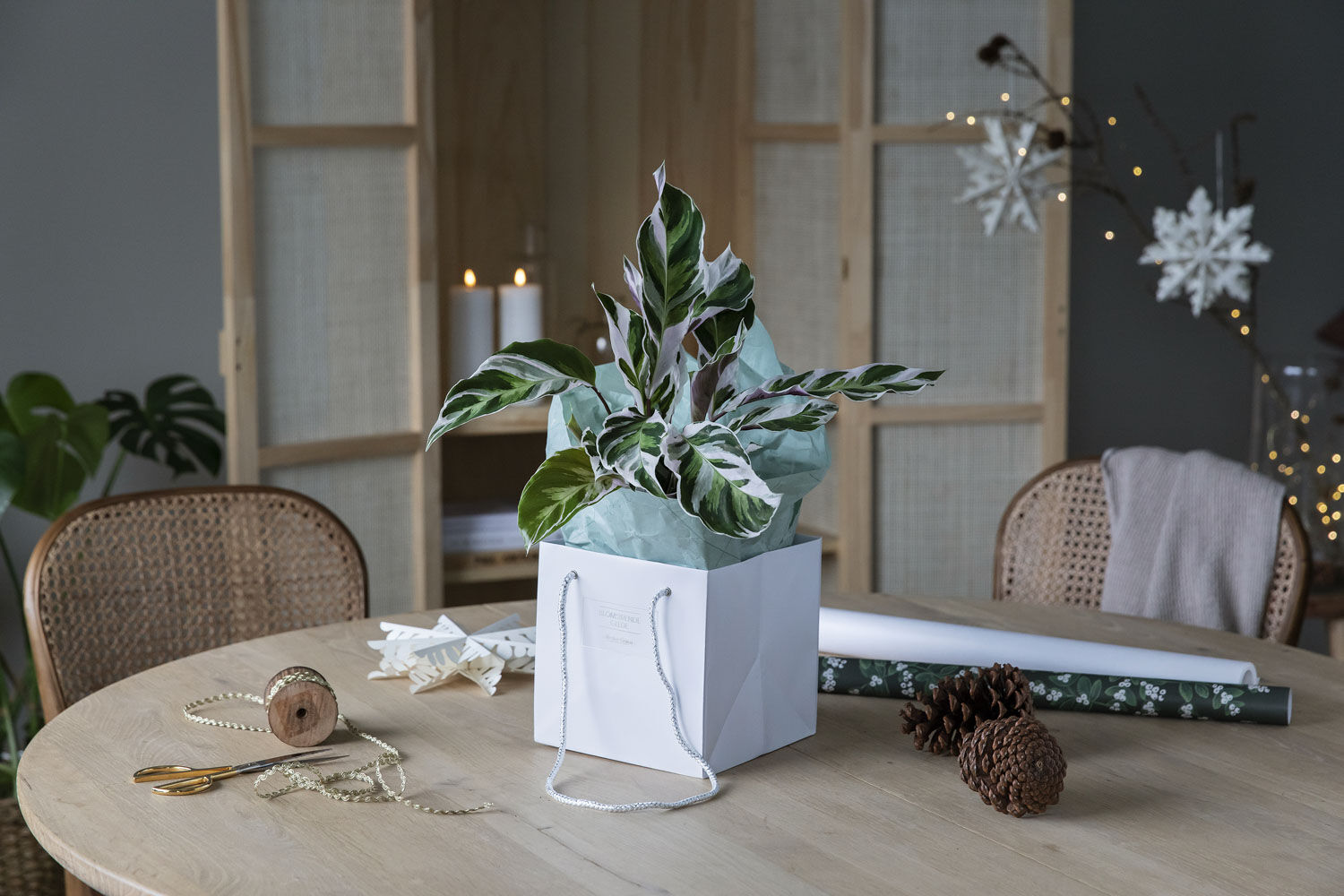 Grønne planter Grønne planter