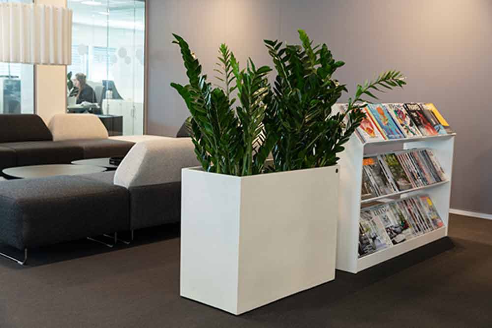 Grønne planter Grønne planter