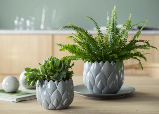 Botanica keramikkpotter kommer i to størrelser. Botanica keramikkpotter kommer i to størrelser.