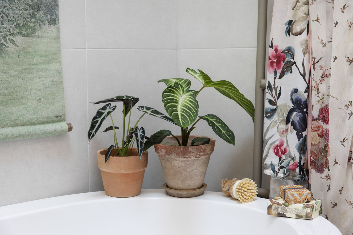 Grønne planter på badet Grønne planter på badet