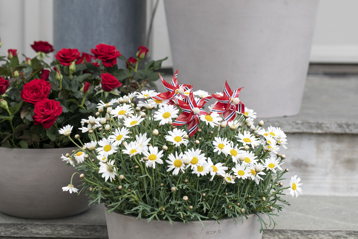 pynt blomstene med norske flagg og nasjonalbånd pynt blomstene med norske flagg og nasjonalbånd