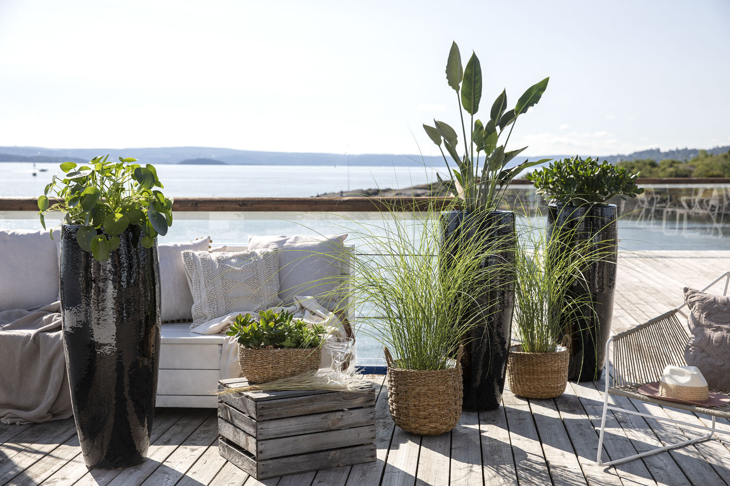 grønne planter på terrassen grønne planter på terrassen