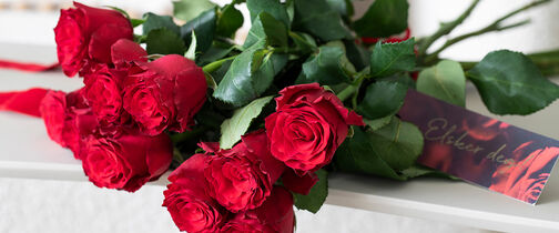 Røde roser valentine
