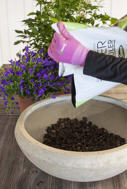 Fyll bunn med lecakuler Fyll bunn med lecakuler
