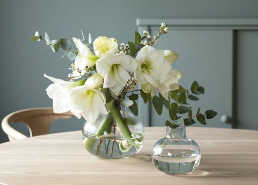 bukett med amaryllis og eucalyptus bukett med amaryllis og eucalyptus