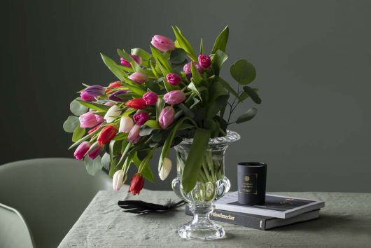 tulipaner bringer våren inn i stuen tulipaner bringer våren inn i stuen