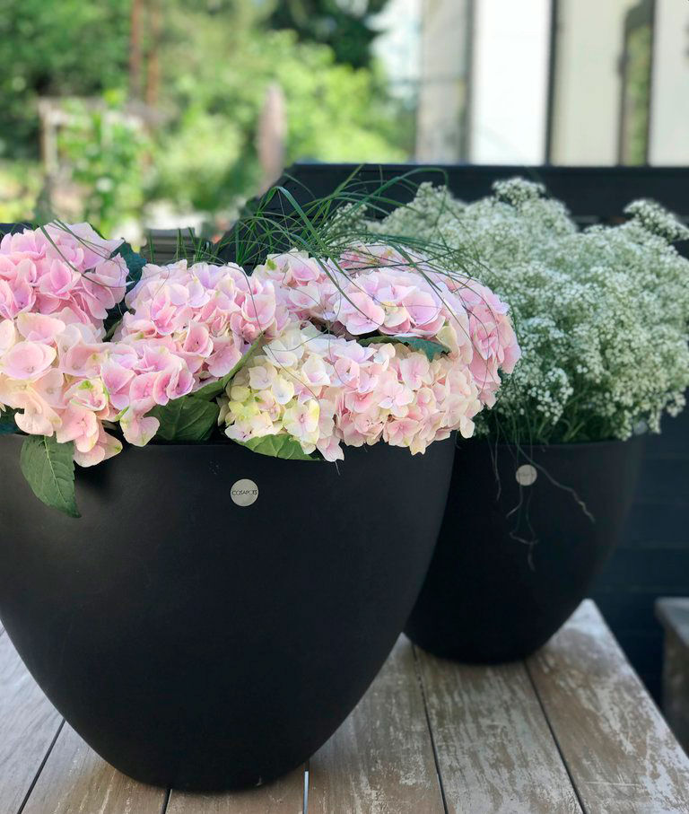 Cosapots med hortensia Cosapots med hortensia