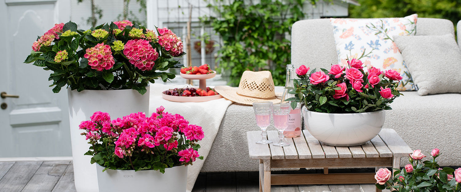 ecopots_holdbare utepotter i resirkulert plast