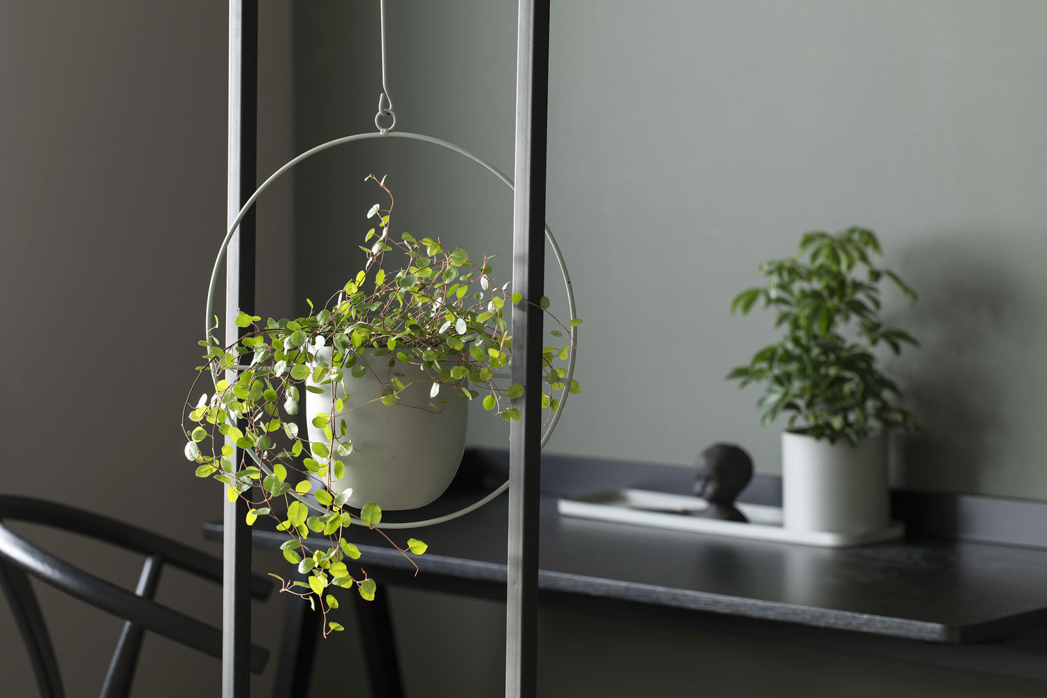 Grow ampelpotte Grow ampelpotte