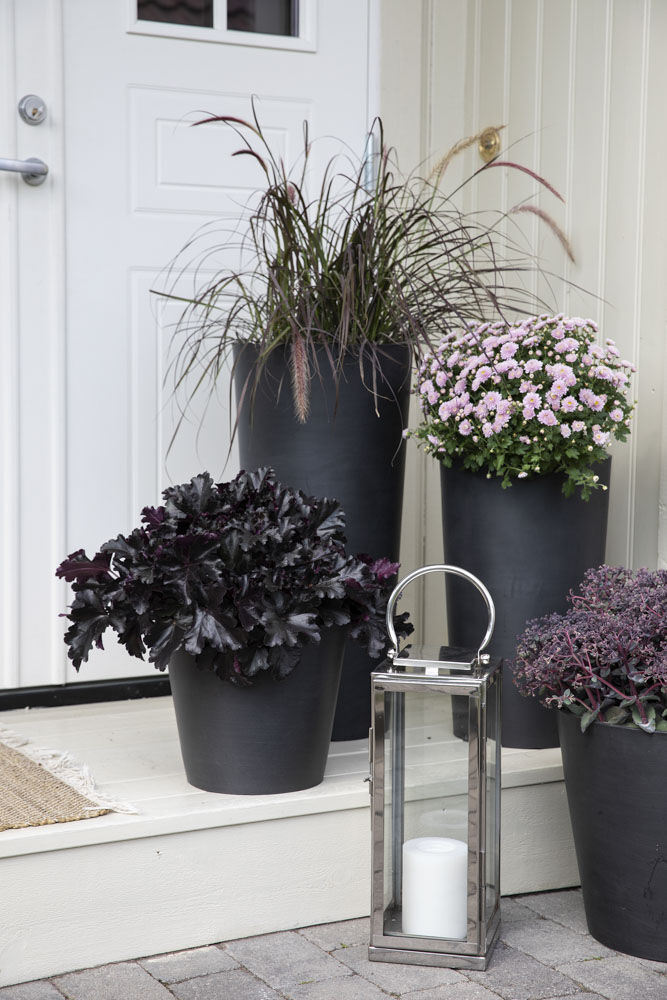 Høstblomster ved inngangspartiet Høstblomster ved inngangspartiet