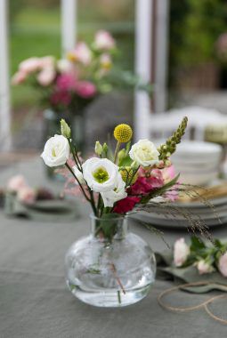plukk og miks blomster fra vårt store utvalg av blomster til 3 for 2 plukk og miks blomster fra vårt store utvalg av blomster til 3 for 2
