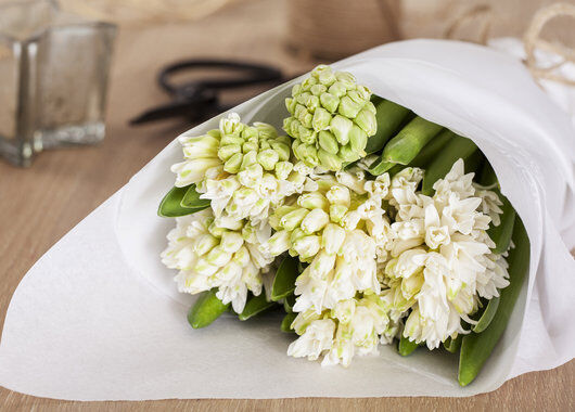 sviblel_snittblomst sviblel_snittblomst