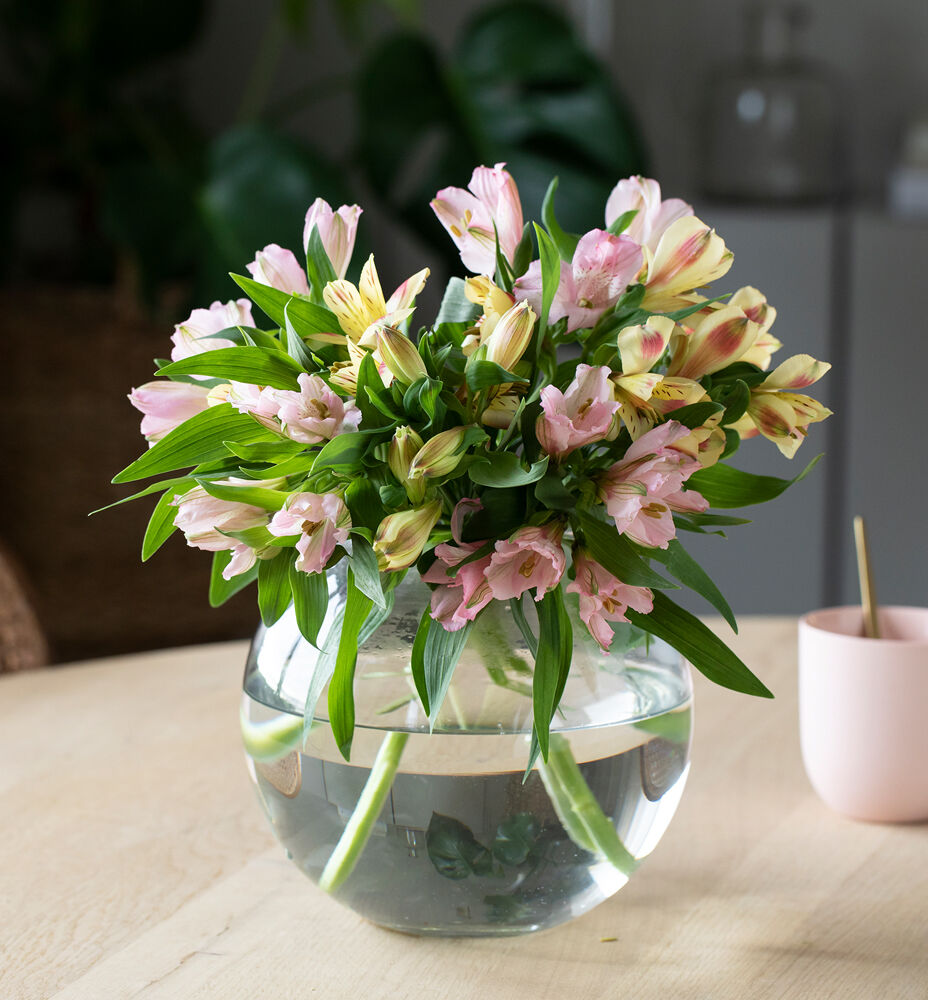 Alltid billige roser og sesongblomster hos oss - Mester Grønn