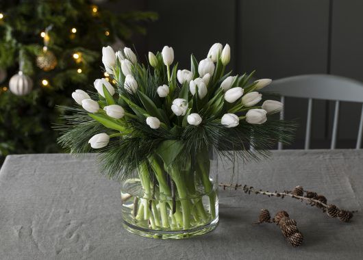 bukett med hvite tulipaner og silkefuru