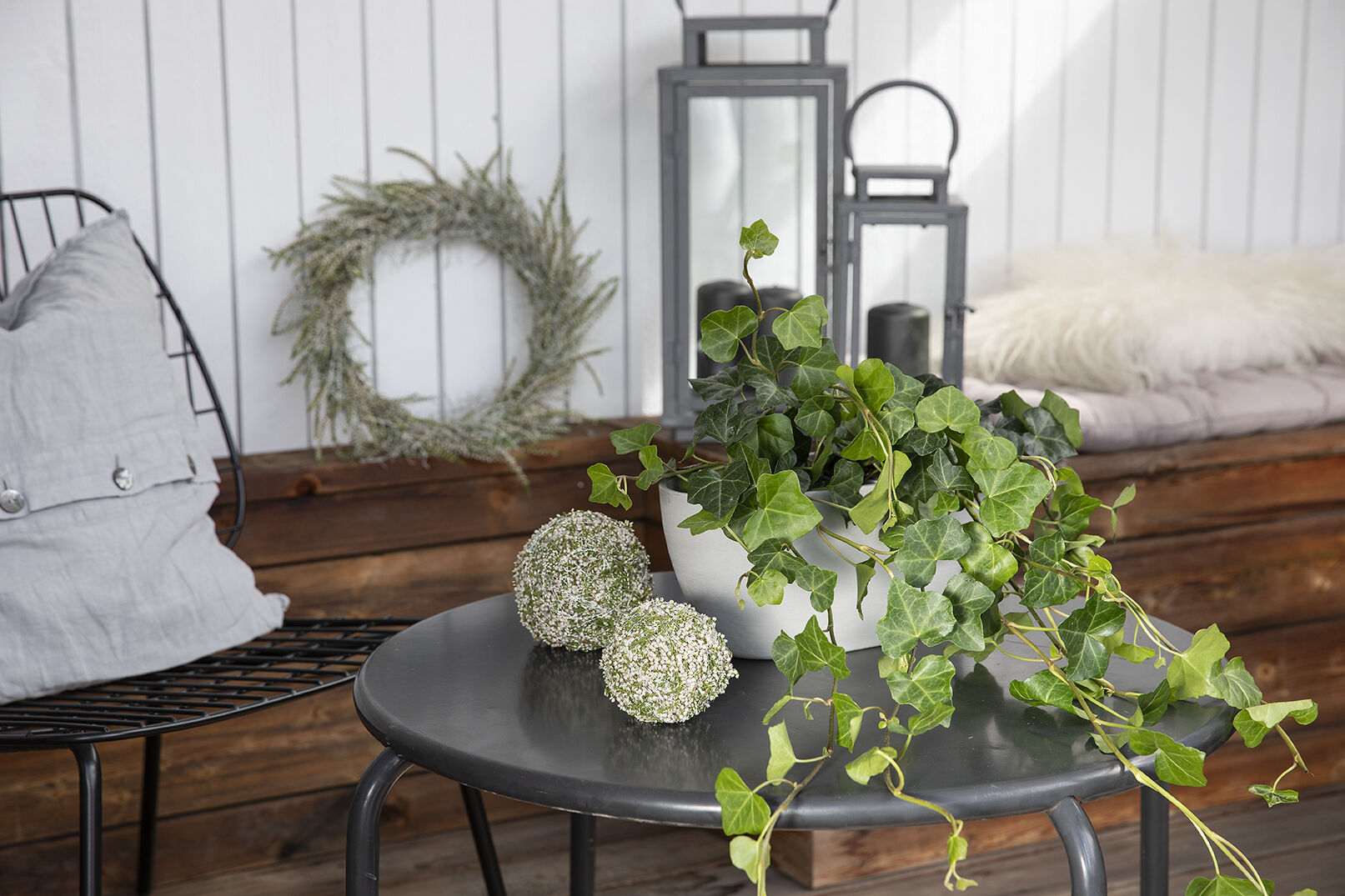 eføy er vakker sammen med andre sommerblomster