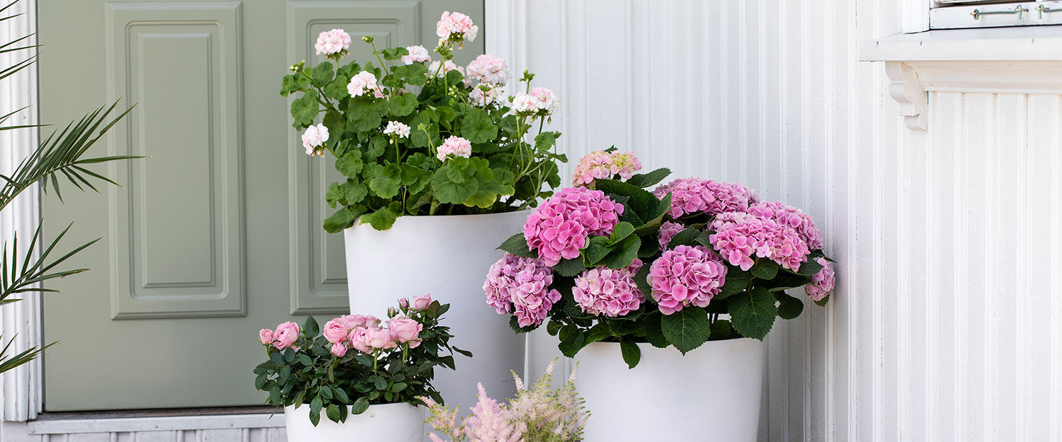 Utepotter p&aring; terrassen