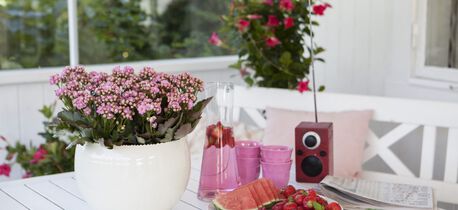 ildtopp-den-enkleste-blomsten-aa-lykkes-med
