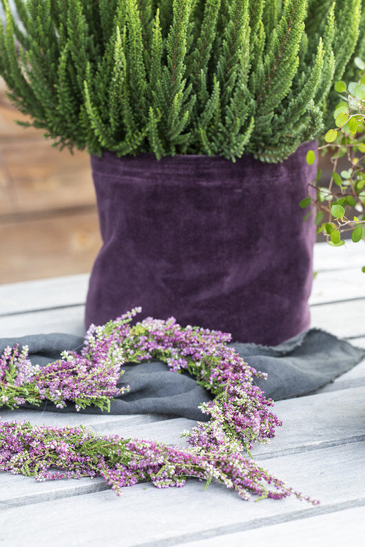 hjerte av lyng og grow in potte med lyng hjerte av lyng og grow in potte med lyng