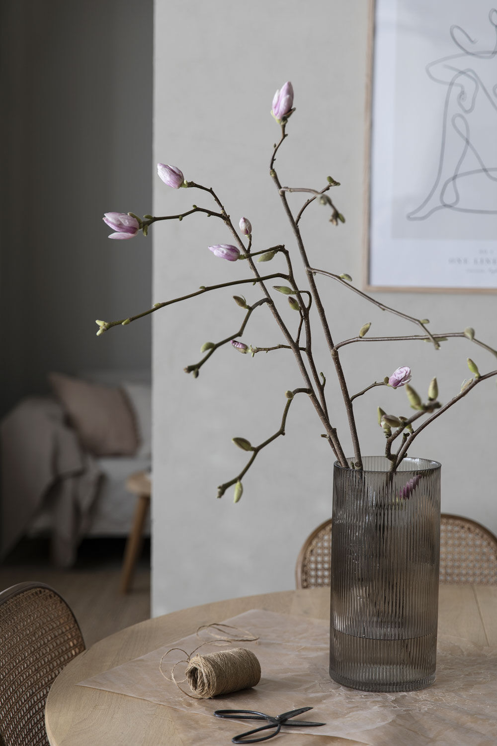 magnolia magnolia