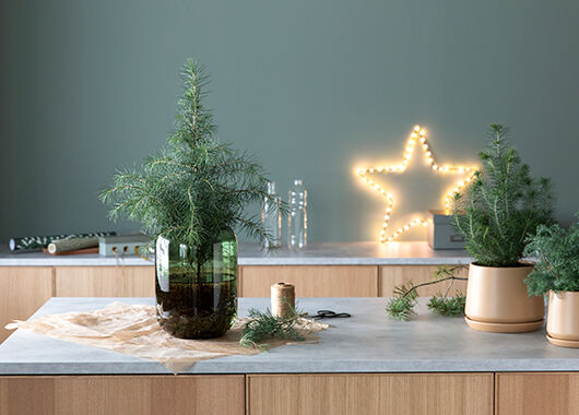 Pynt til jul med vintergrønne planter Pynt til jul med vintergrønne planter
