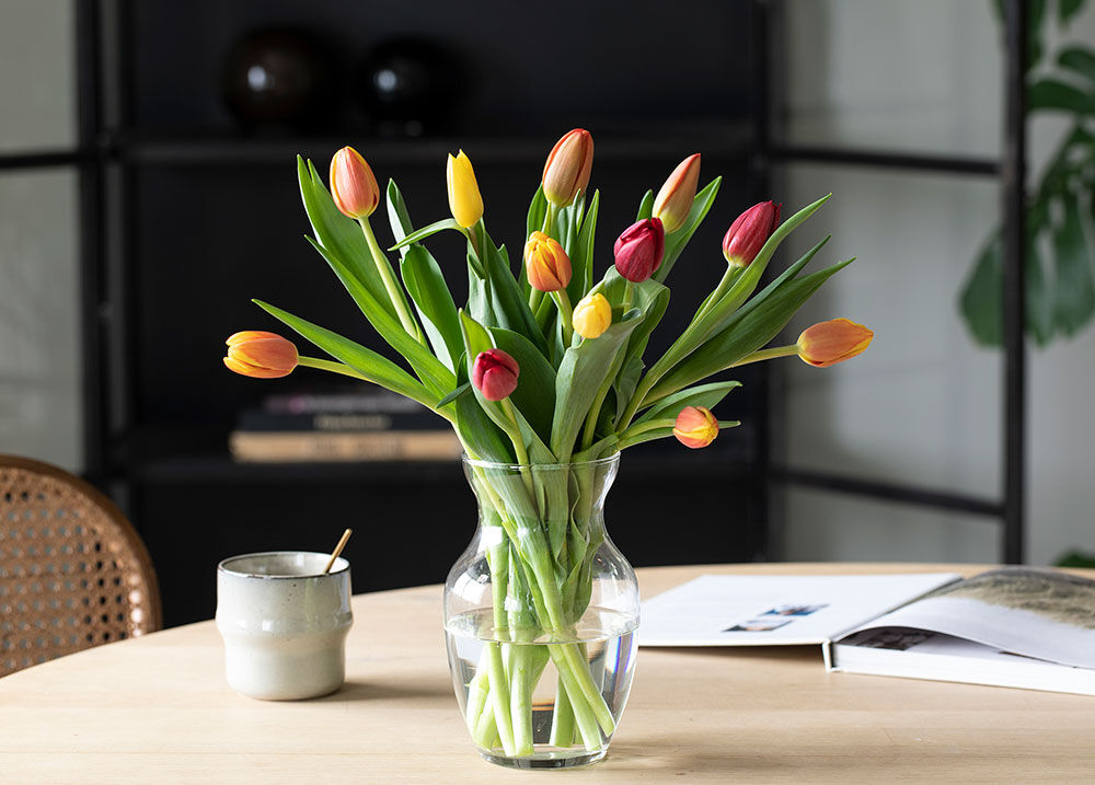 Tulipaner