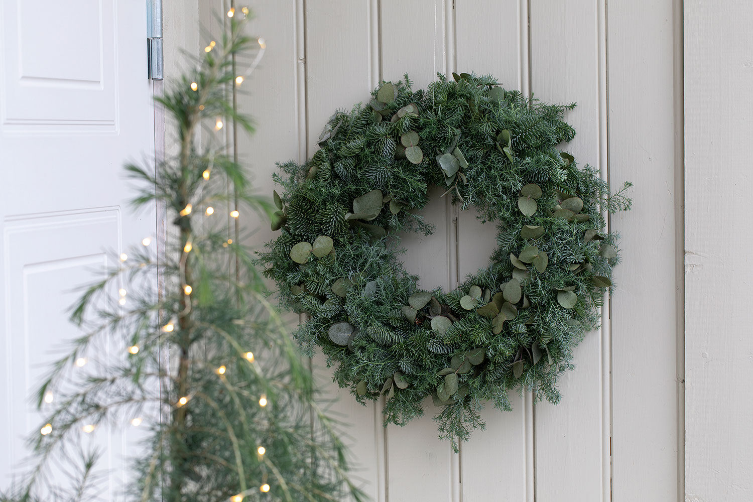 Julekrans av vintergrønne grener