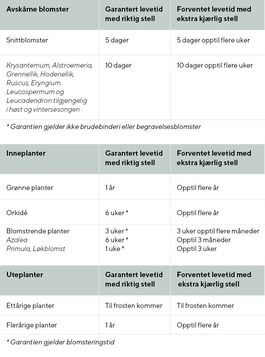 Tabell kvalitetsgaranti