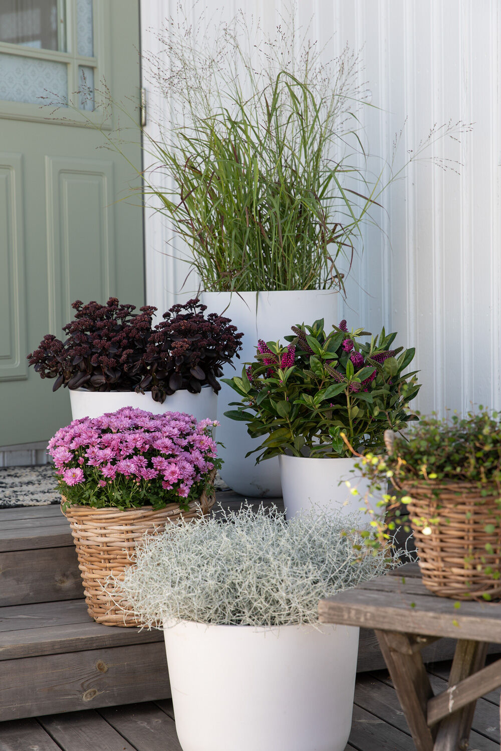 Høstblomster inngangsparti