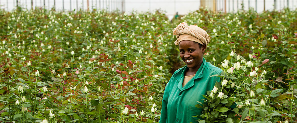 Fairtrade blomster