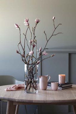magnoliablomstene er eksotiske og delikate