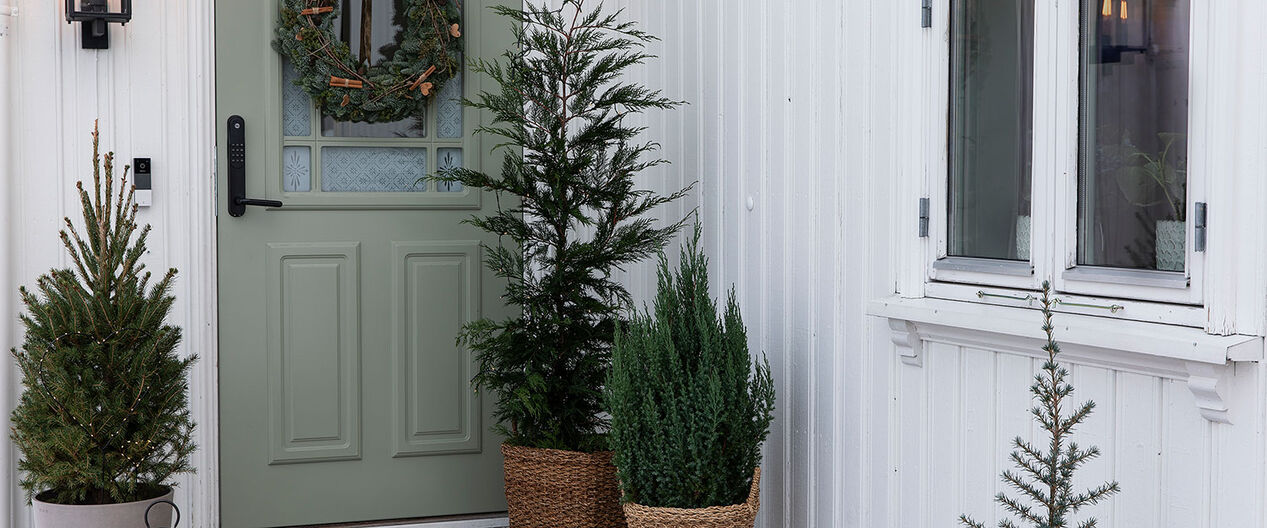 pynt inngangspartiet med vintergrønne planter