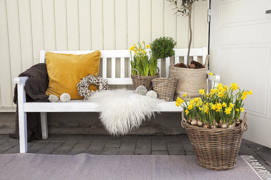 skap en hyggelig uteplass med pledd og påskeblomster skap en hyggelig uteplass med pledd og påskeblomster