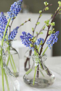 perleblomster i vase perleblomster i vase