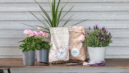 Jord til uteplanter. Pelargonia, lavendel og cordyline. Jord til uteplanter. Pelargonia, lavendel og cordyline.