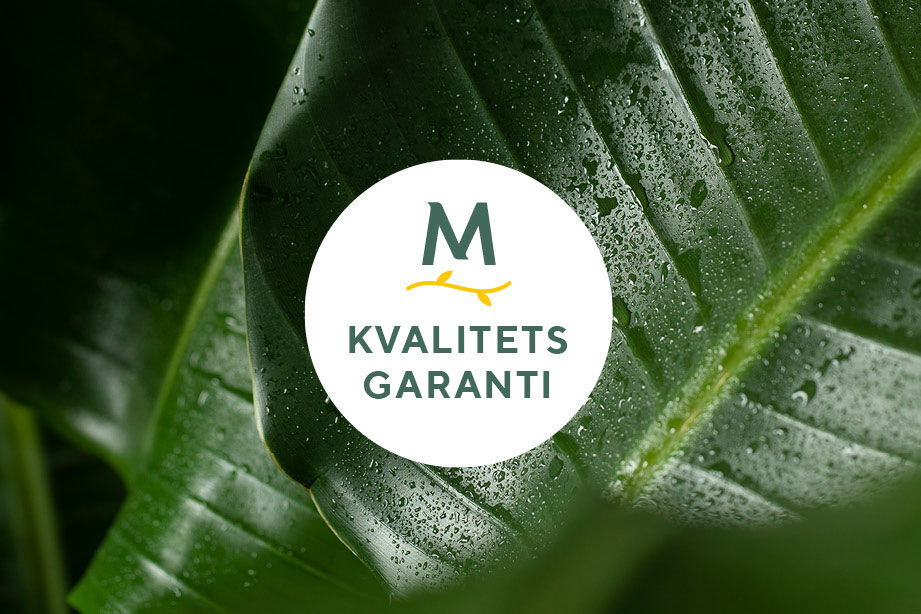 Kvalitetsgaranti grønne planter