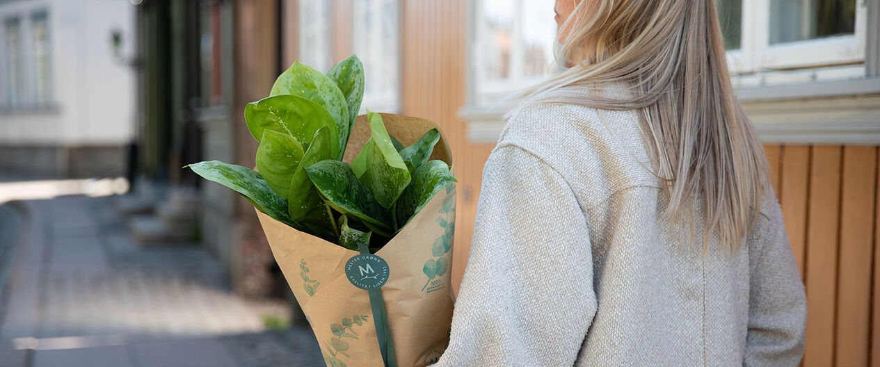 Gavetips innflytningsgave