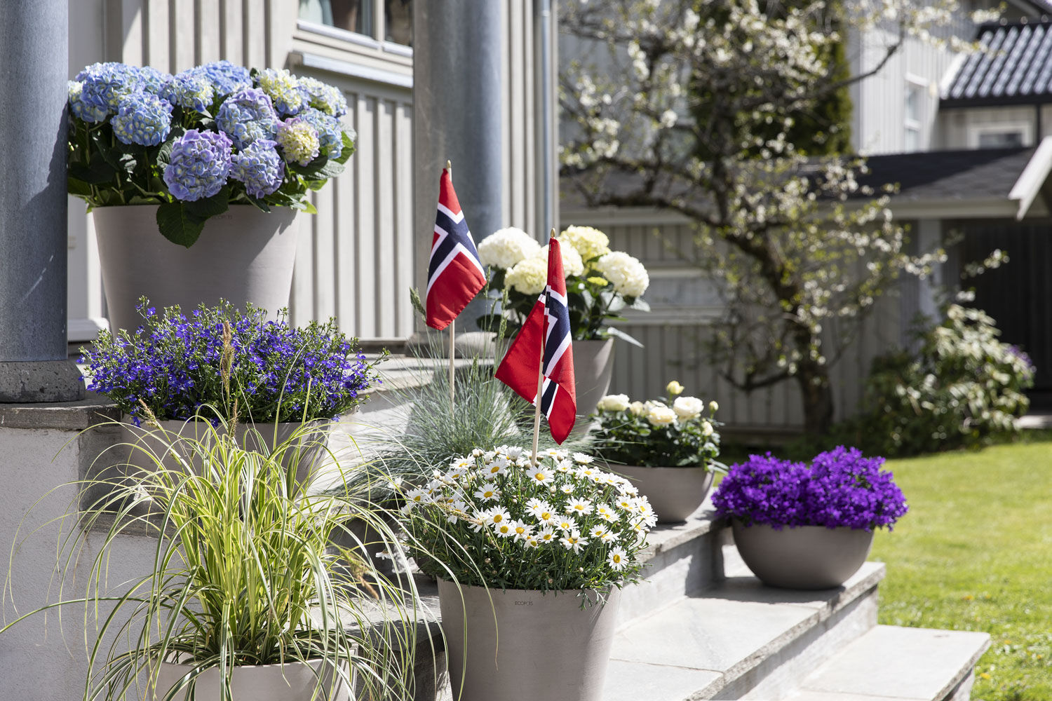 Blomster til 17. mai Blomster til 17. mai