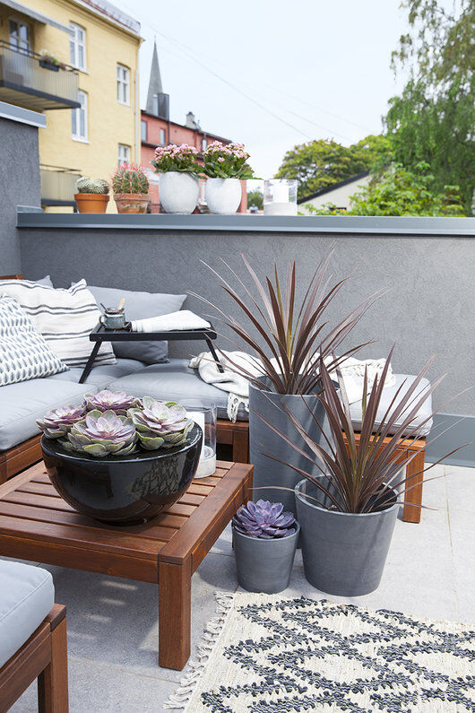 balkong med sukkulenter og grønne planter balkong med sukkulenter og grønne planter