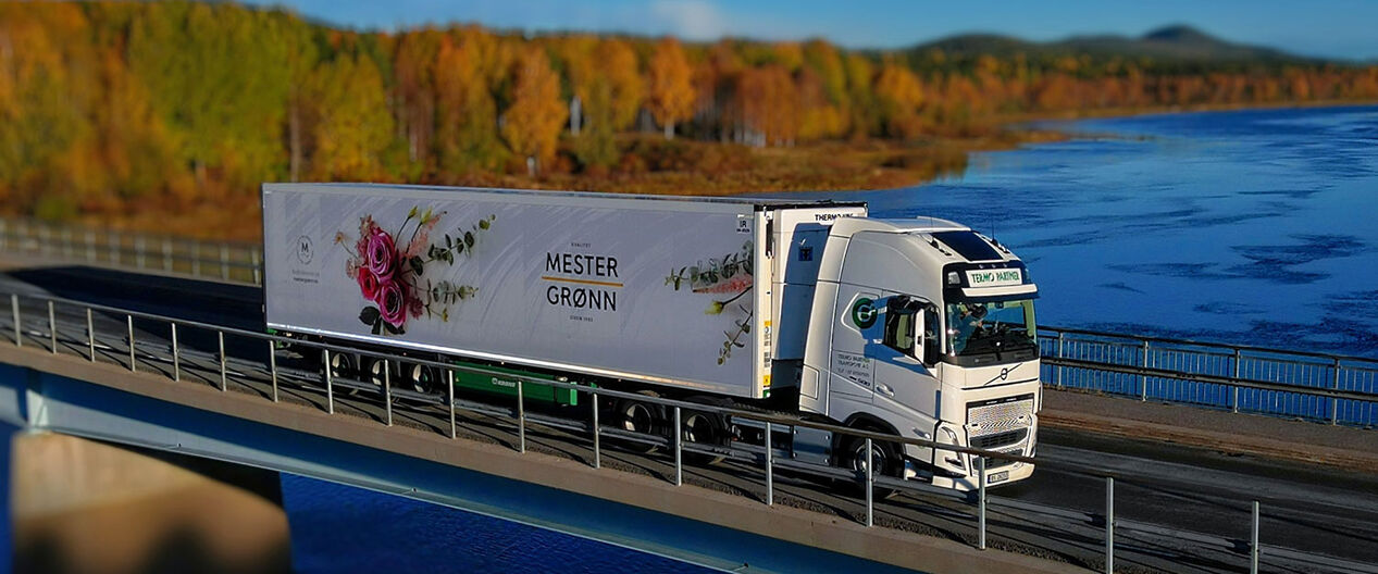 Mester Grønn lastebil