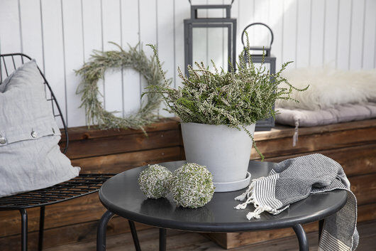 høst med hvit calluna lyng høst med hvit calluna lyng