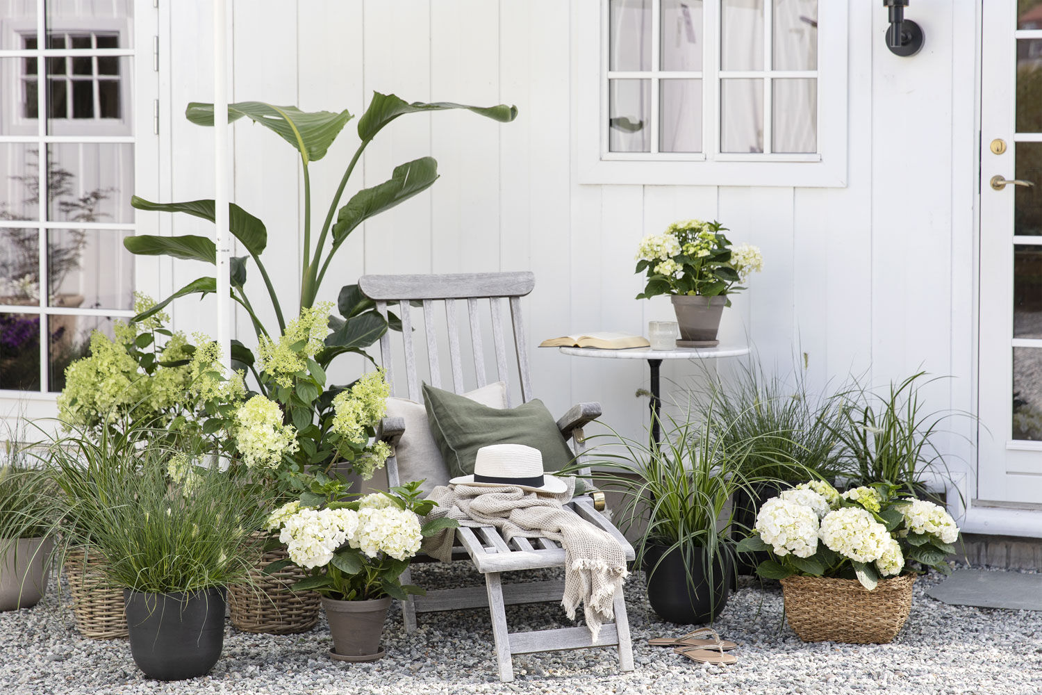 Stell av sommerblomster Stell av sommerblomster