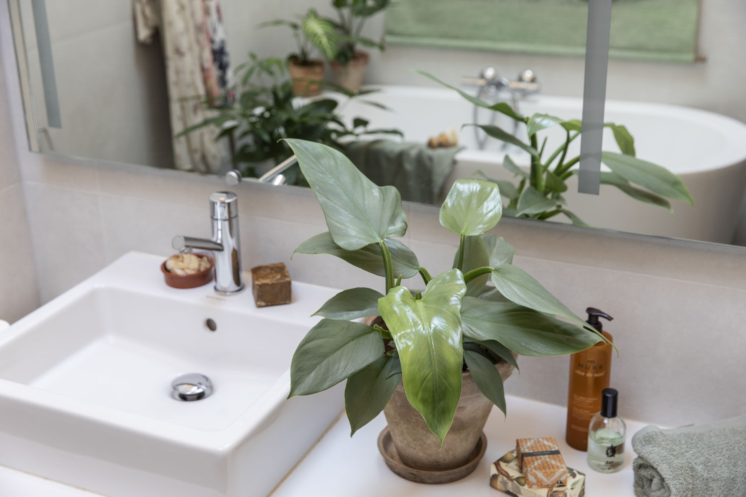Grønne planter på badet Grønne planter på badet