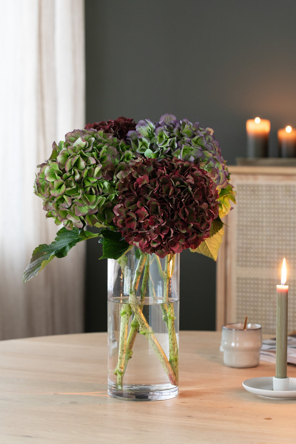Hortensia