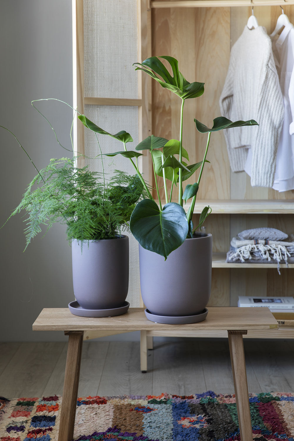 Grønne planter i Cashmere potter Grønne planter i Cashmere potter