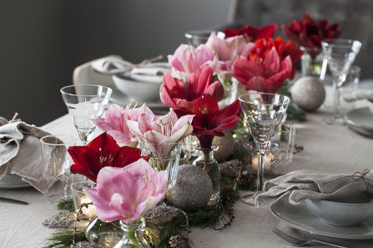 pynt bordet med amaryllis i små Dalebekken vaser pynt bordet med amaryllis i små Dalebekken vaser