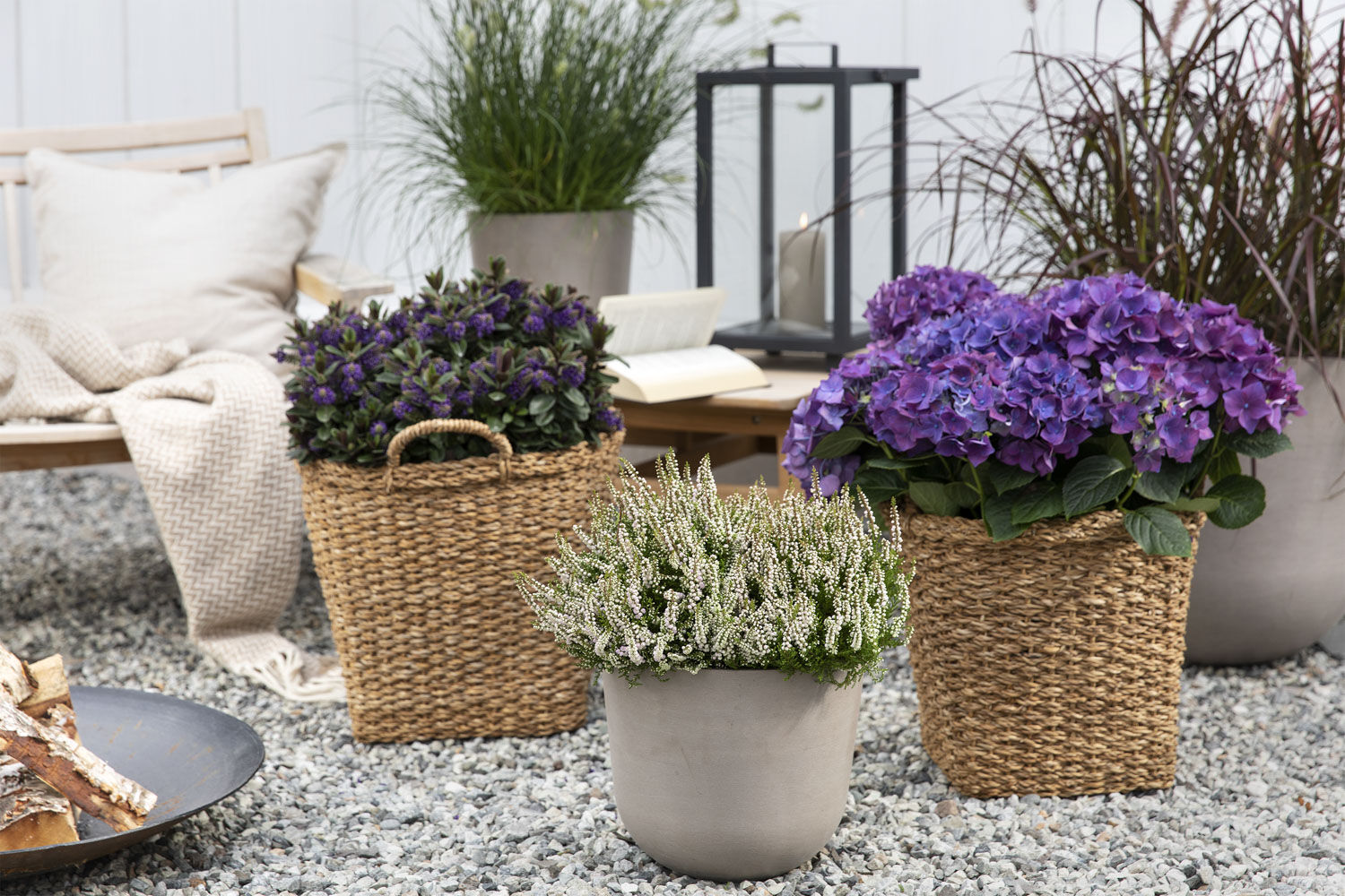 Høstplanter Høstplanter