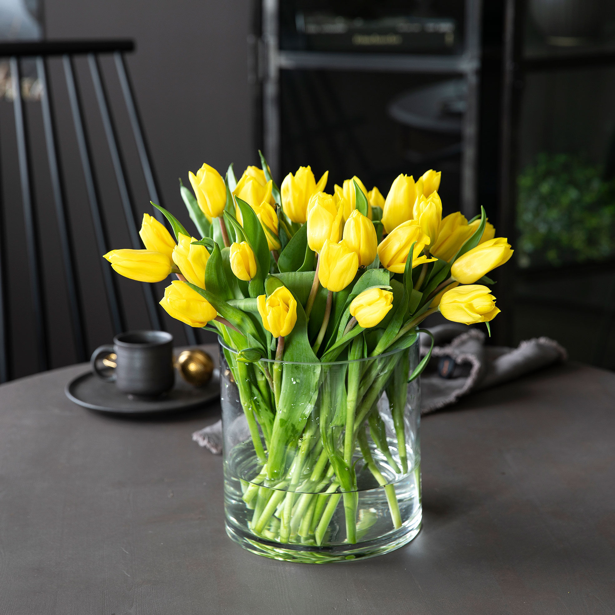 Gule tulipaner Gule tulipaner